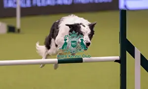 20190307 Prints: Crufts 2019 - Day One, NEC, UK - 7 Mar 2019