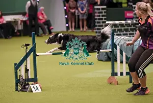 20190307 Prints: Crufts 2019 - Day One, NEC, UK - 7 Mar 2019