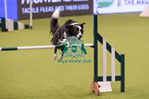 20190307 Prints: Crufts 2019 - Day One, NEC, UK - 7 Mar 2019