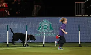 20190307 Prints: Crufts 2019 - Day One, NEC, UK - 7 Mar 2019