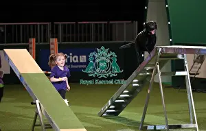 20190307 Prints: Crufts 2019 - Day One, NEC, UK - 7 Mar 2019