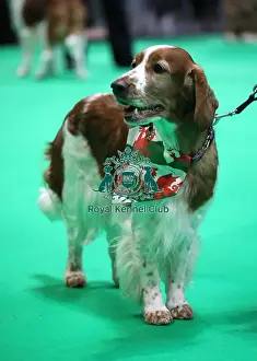 20190307 Prints: Crufts 2019 - Day One, NEC, UK - 7 Mar 2019