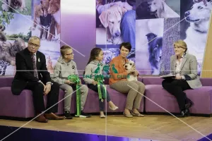 Crufts 2019 - Day Three, NEC, UK - 9 Mar 2019