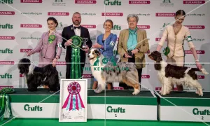 Crufts 2019 - Day Three, NEC, UK - 9 Mar 2019