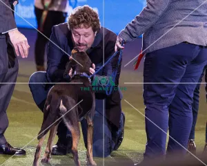 Scruffts Final - winner