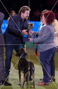 Scruffts Final - winner