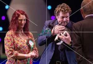Crufts 2019 - Day Three, NEC, UK - 9 Mar 2019