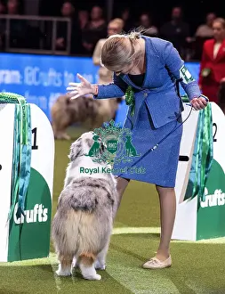 Crufts 2019 - Day Three, NEC, UK - 9 Mar 2019