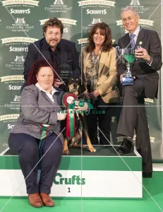Scruffts Final - winner