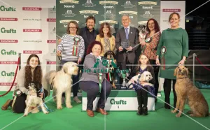 Scruffts Final - winner