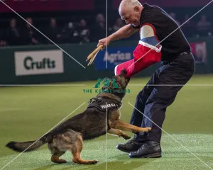 West Midlands Police Display
