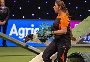 Crufts 2019 - Day Three, NEC, UK - 9 Mar 2019