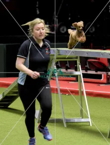 Agility teams - small