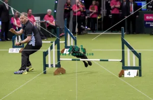 Agility teams - small