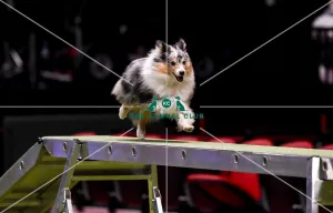 Agility teams - small