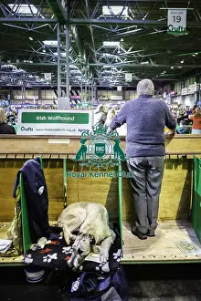 Crufts 2019 - Day Three, NEC, UK - 9 Mar 2019