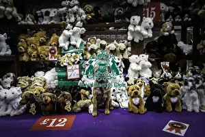 Crufts 2019 - Day Three, NEC, UK - 9 Mar 2019