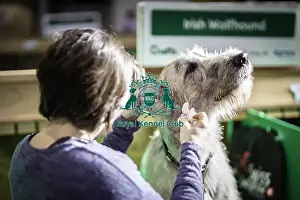 Crufts 2019 - Day Three, NEC, UK - 9 Mar 2019