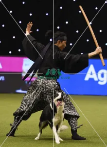 Crufts 2019 - Day Three, NEC, UK - 9 Mar 2019