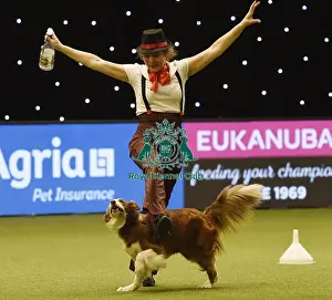 Crufts 2019 - Day Three, NEC, UK - 9 Mar 2019