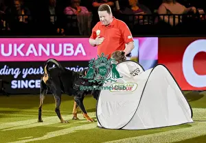 Crufts 2019 - Day Three, NEC, UK - 9 Mar 2019