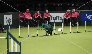 Crufts 2019 - Day Three, NEC, UK - 9 Mar 2019