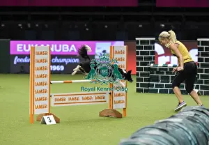 Crufts 2019 - Day Three, NEC, UK - 9 Mar 2019