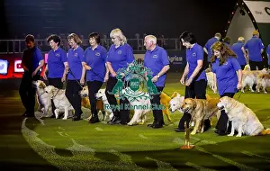 Crufts 2019 - Day Three, NEC, UK - 9 Mar 2019