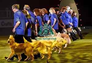 Crufts 2019 - Day Three, NEC, UK - 9 Mar 2019