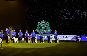 Crufts 2019 - Day Three, NEC, UK - 9 Mar 2019