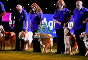 Crufts 2019 - Day Three, NEC, UK - 9 Mar 2019
