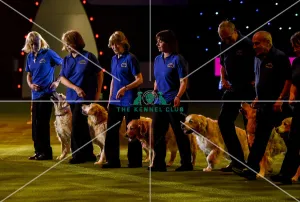 Crufts 2019 - Day Three, NEC, UK - 9 Mar 2019