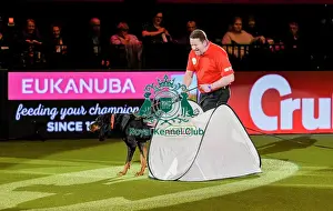 Crufts 2019 - Day Three, NEC, UK - 9 Mar 2019
