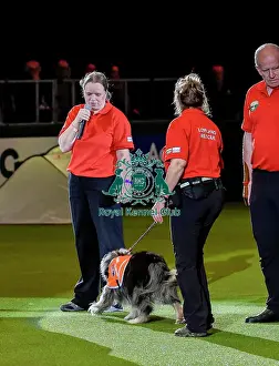 Crufts 2019 - Day Three, NEC, UK - 9 Mar 2019