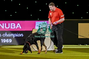 Crufts 2019 - Day Three, NEC, UK - 9 Mar 2019