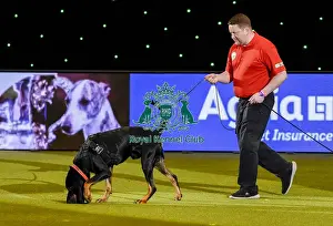 Crufts 2019 - Day Three, NEC, UK - 9 Mar 2019