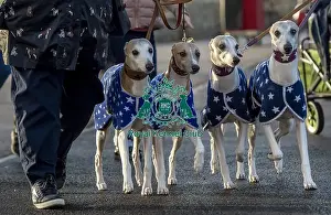 Crufts 2019 - Day Three, NEC, UK - 9 Mar 2019