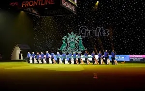 Crufts 2019 - Day Three, NEC, UK - 9 Mar 2019