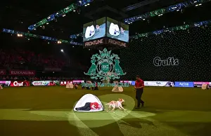 Crufts 2019 - Day Three, NEC, UK - 9 Mar 2019