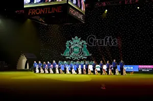 Crufts 2019 - Day Three, NEC, UK - 9 Mar 2019