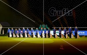 Crufts 2019 - Day Three, NEC, UK - 9 Mar 2019