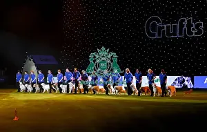 Crufts 2019 - Day Three, NEC, UK - 9 Mar 2019