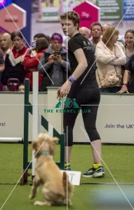 Crufts 2019 - Day Two, NEC, UK - 8 Mar 2019