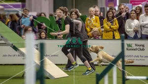 Crufts 2019 - Day Two, NEC, UK - 8 Mar 2019