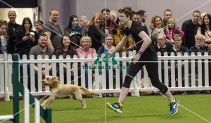 Crufts 2019 - Day Two, NEC, UK - 8 Mar 2019