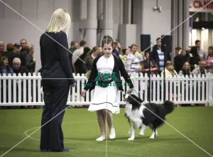 Crufts 2019 - Day Two, NEC, UK - 8 Mar 2019