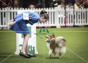Crufts 2019 - Day Two, NEC, UK - 8 Mar 2019