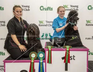 Crufts 2019 - Day Two, NEC, UK - 8 Mar 2019