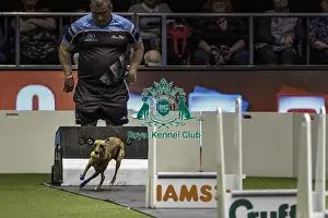 Flyball Prints: Crufts 2019 - Day Two, NEC, UK - 8 Mar 2019