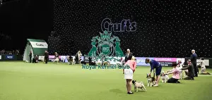 Eukanuba Uk Champion Stakes Prints: Crufts 2019 - Day Two, NEC, UK - 8 Mar 2019